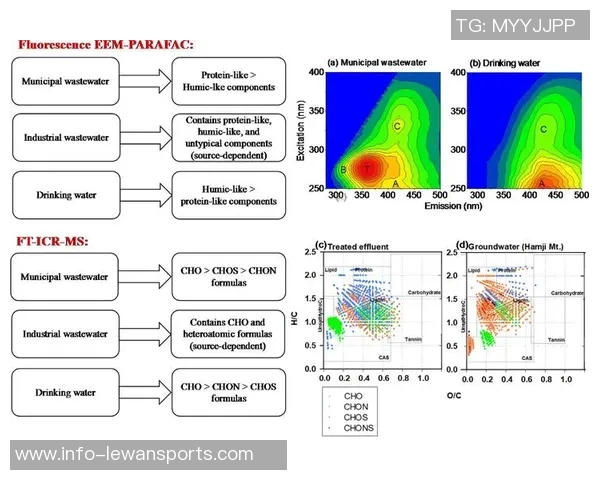 提升速度与灵活性的秘密武器速度型足球鞋的选择与使用指南